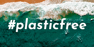 Read more about the article Why choose plastic free?